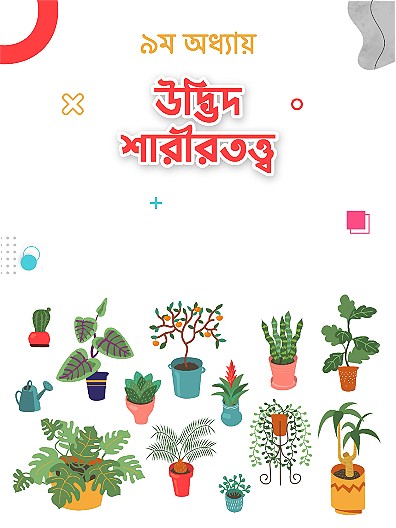 উদ্ভিদ শরীরতত্ত্ব